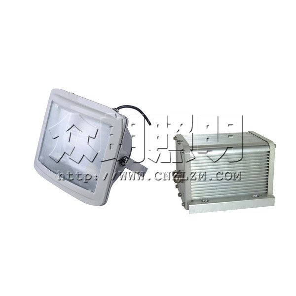 NSE9720應(yīng)急通路燈