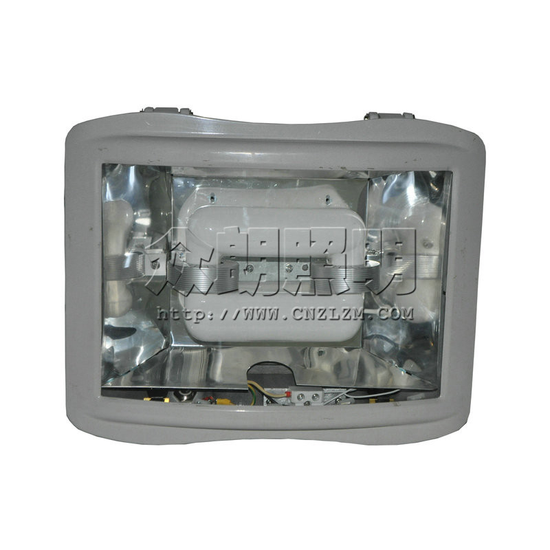 SW7221無極泛光燈